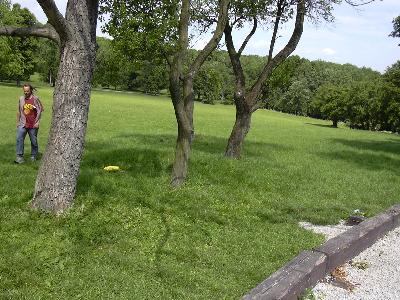 Vrcholove foto II